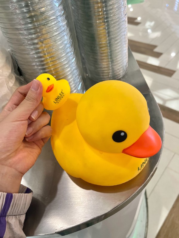 #珈乐魂 #微博照片 2/6