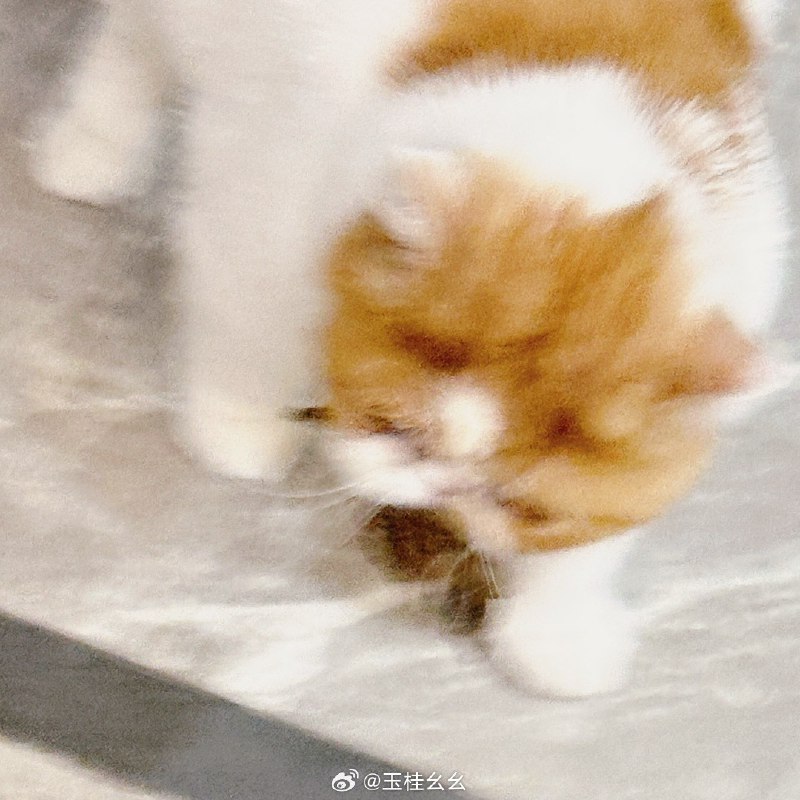 #微博照片 2/9