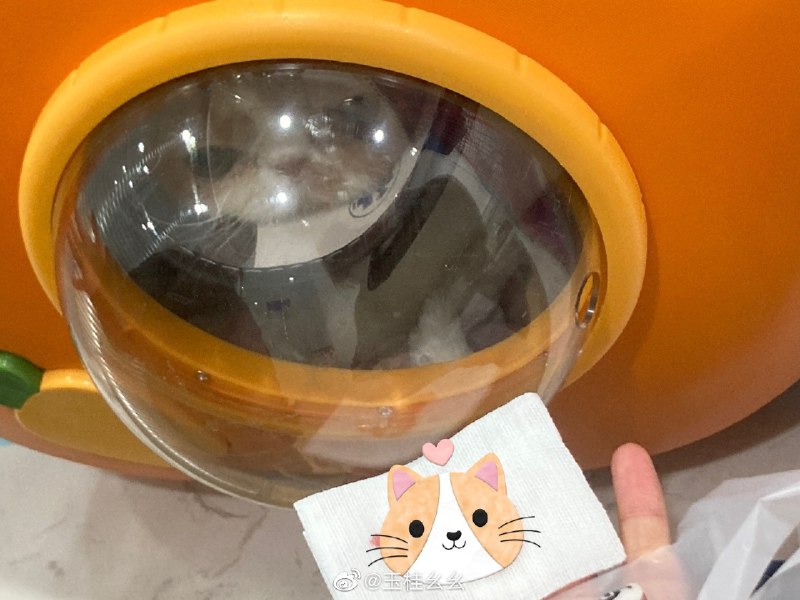 #微博评论 醒辣 手术很顺利#plog#被评论的微博 三松许玉桂幺幺       “说来嘲讽   我不太懂  渴望你懂”         《红玫瑰》              🐿🥀12 秒前 属地河南 | 玉桂幺幺