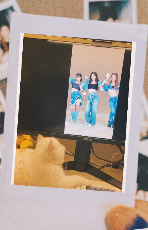 #b站相册动态 共 2 张