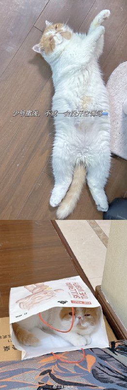 #微博照片 7/9