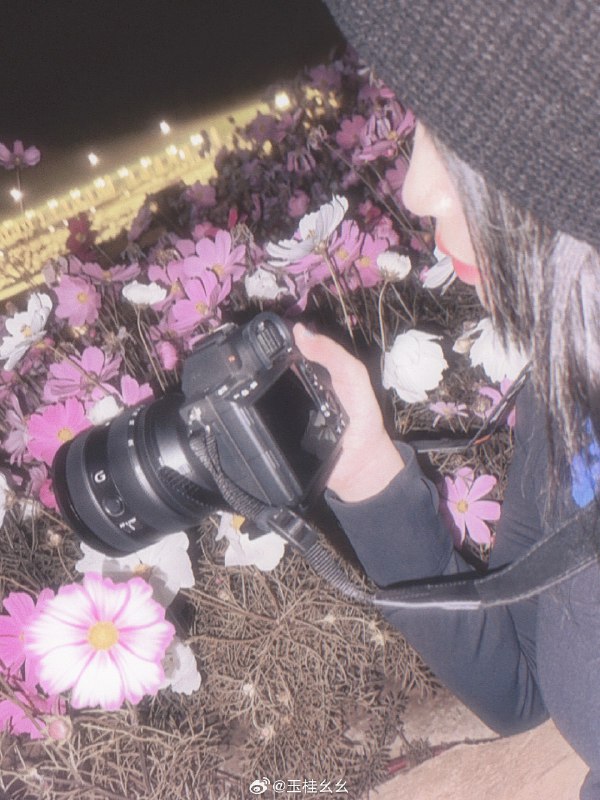 #微博照片 共 9 张