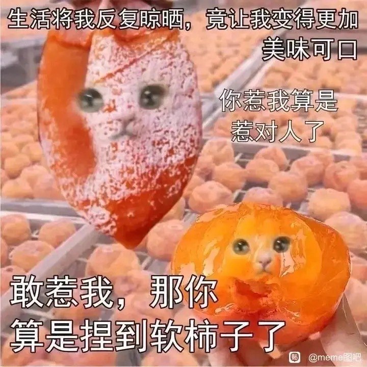 #b站相册动态 ＃小狗说 这个表情包也很可爱晚安uuu20 秒前 | -三松许-