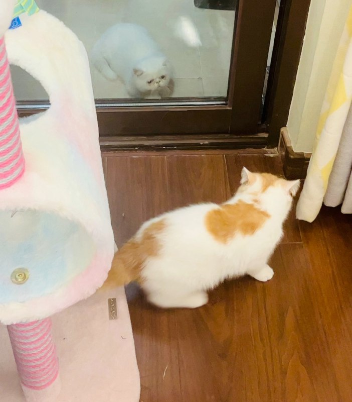 #珈乐魂 #b站视频 扇你小狗脸[UP_33605910_下头]小唐啵晚安[UP_33605910_嗨嗨]扇你小狗脸[UP_33605910_下头]小唐啵晚安[UP_33605910_嗨嗨]扇你小狗脸[UP_33605910_下头]小唐啵晚安[UP_33605910_嗨嗨]41 秒前 | 观看视频 | 啵啵小狗341