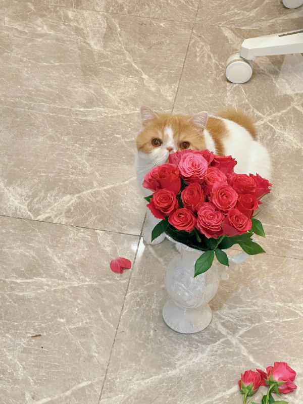 #b站相册动态 2/3