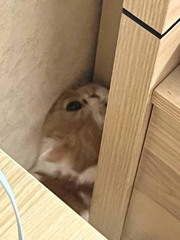 #珈乐魂 #b站相册动态 2/3