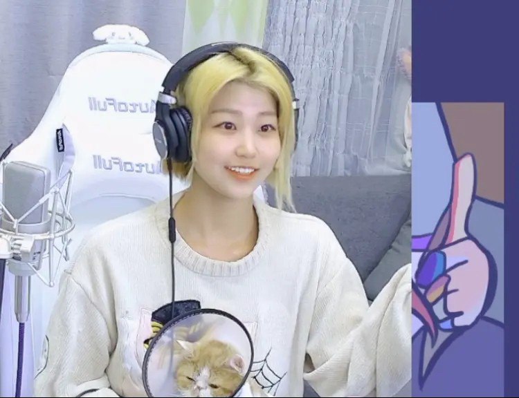 #b站相册动态 2/2