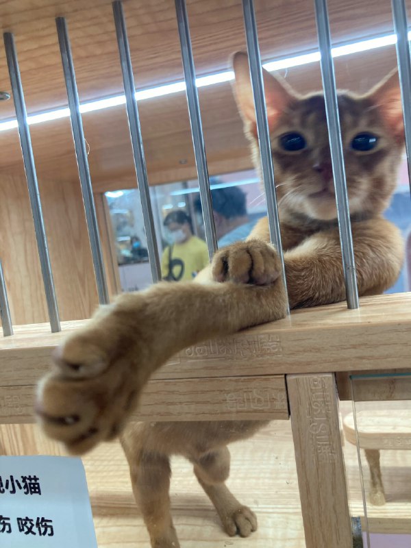 #珈乐魂 #微博照片 8/9