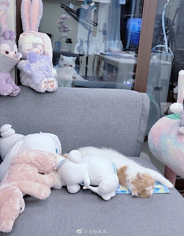 #珈乐魂 #微博评论 甜嘶了甜嘶了甜嘶了被评论的微博 #情感生活指南#  玉桂幺幺的微博直播7 秒前 属地河南 | 玉桂幺幺