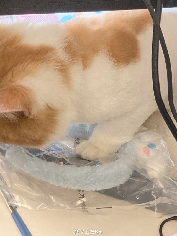 #微博评论 3.芝士赠品被评论的微博 三松许玉桂幺幺#熬夜啵比# 第一题已知