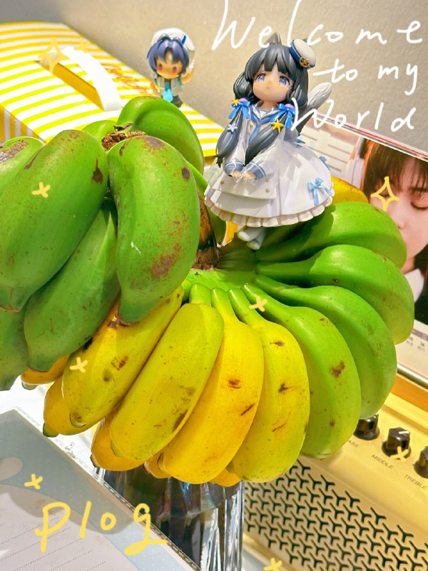 #b站相册动态 3/3