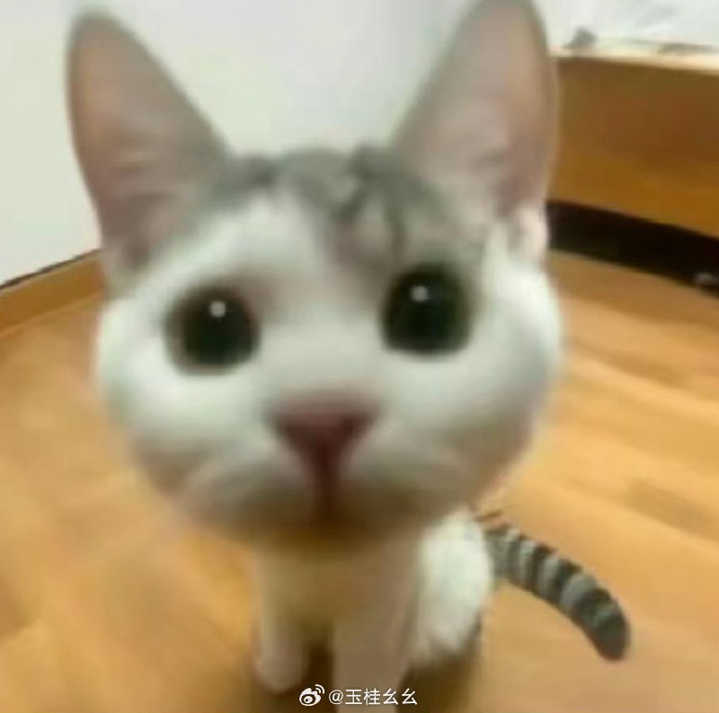 #微博照片 9/9