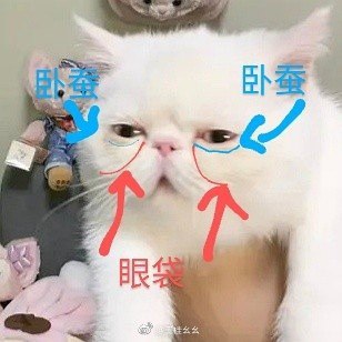 #微博照片 9/9