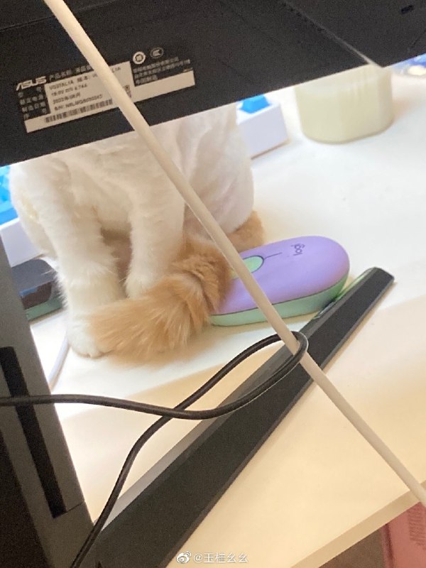 #微博评论 2.有猫在看弹幕被评论的微博 三松许玉桂幺幺#熬夜啵比# 第一题已知