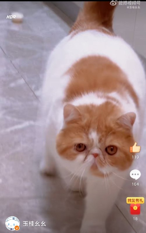 #微博评论回复 “不玩鸡蛋壳了 找玩姐姐去咯！”被回复的评论 15 分钟前 @玉桂嗷嗷