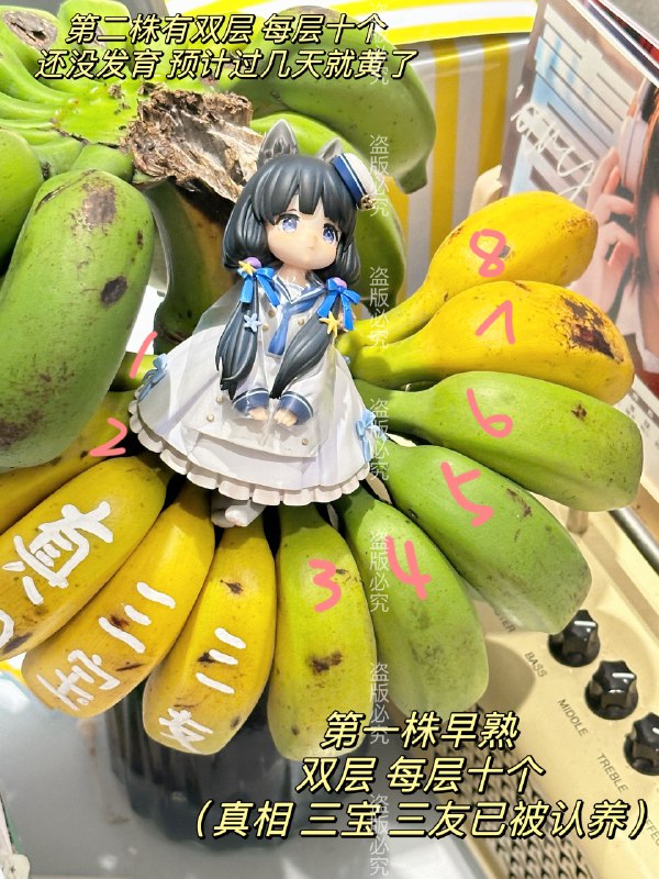 #b站相册动态 共 3 张