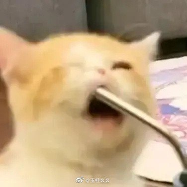 #珈乐魂 #微博照片 2/4