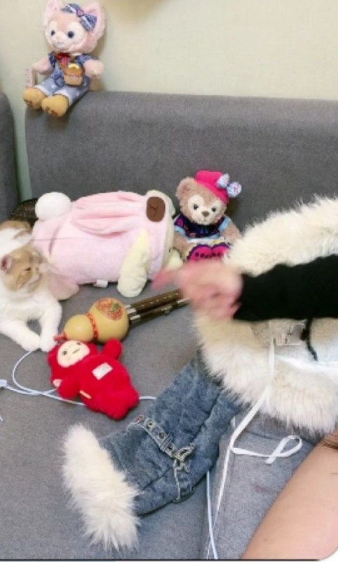 来点大伙想看的东西来点大伙想看的东西