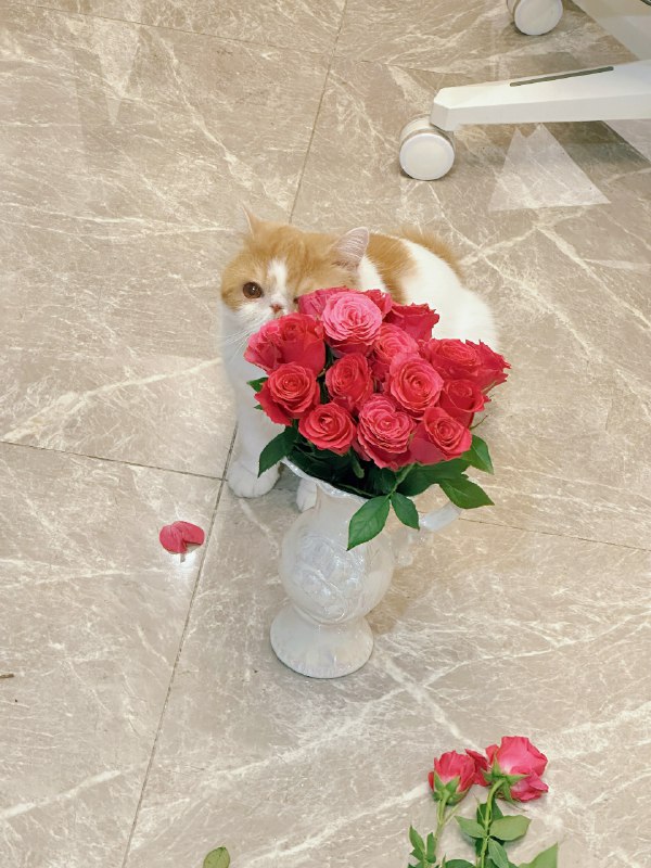 #b站相册动态 共 3 张