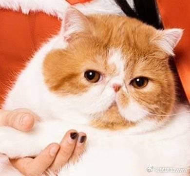 #b站相册动态 共 2 张