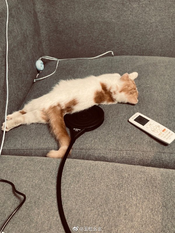 #珈乐魂 #微博评论 美女等的睡过去了 我这就睡觉被评论的微博 #花式摸鱼现场#  玉桂幺幺的微博直播21 秒前 属地河南 | 玉桂幺幺