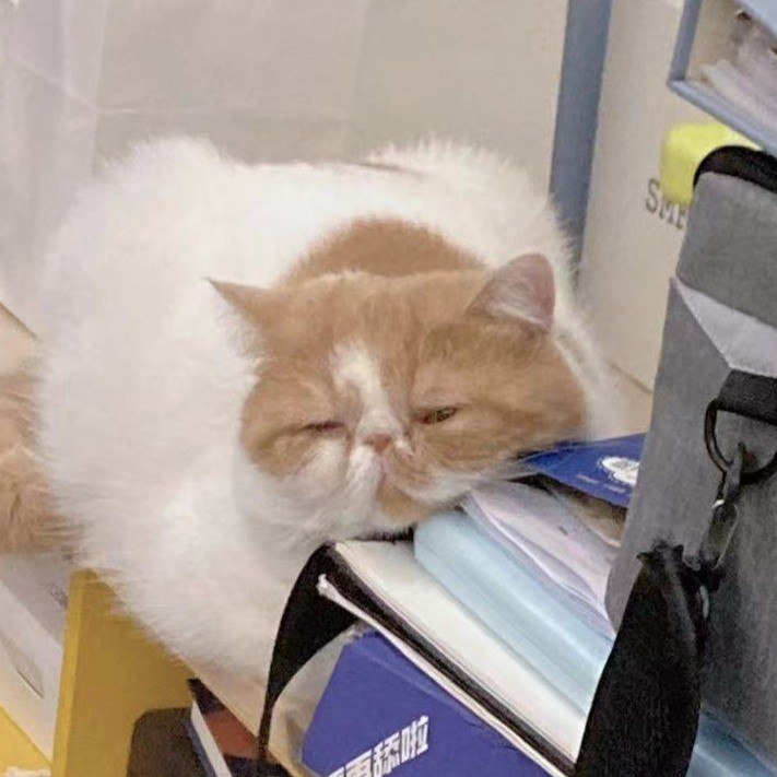 #b站音频 【三松许】迷人的危险（原唱Dance flow） - -三松许-《迷人的危险》原唱