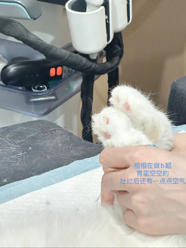 #b站相册动态 晚上好   陪着猫猫做完了检查  指标正常今晚安排了医院的医护看护☆₊⁺🦴🐾₊⁺★.“你像一首唱到沙哑偏爱的情歌” 3u情人财神节快乐[真相大面包的表情包_爱你]今晚不啵14 秒前 | -三松许-