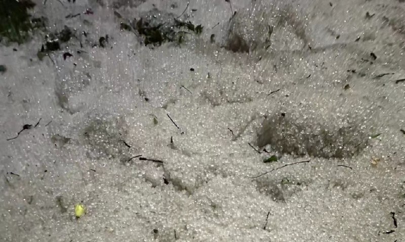 #微博评论回复 v我一口……算了被回复的评论 17 分钟前 @嗷夜啵ww