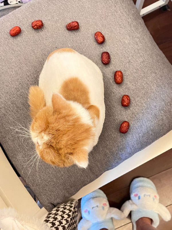 #微博照片 共 2 张