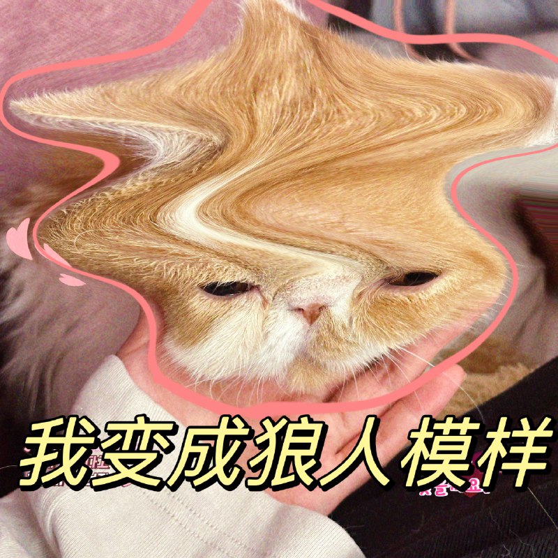 #b站相册动态 2/3