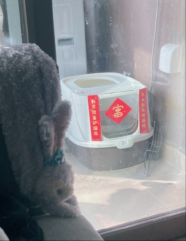 #b站相册动态 我发起了一个投票​我去上课了时间在下面👇甲流和复阳身体的感觉还蛮像的发热发烧🤒️头晕头疼[辣眼睛]这周我已经彻底康复提醒大家提前备药真相最近很活泼第一次看到火很兴奋想去闻闻把胡子烫卷了观赏一下猫砂对联28 秒前 | 啵啵小狗341