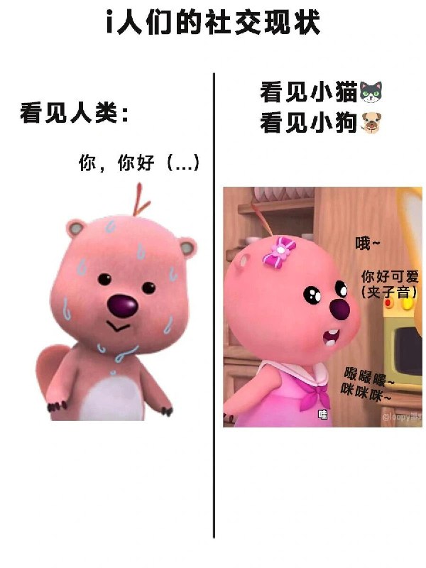 #b站相册动态 2/9