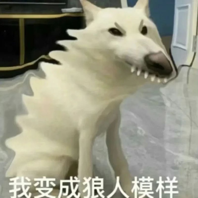 #微博评论回复 记得恰饭被回复的评论 35 秒前 @1CuteBoy