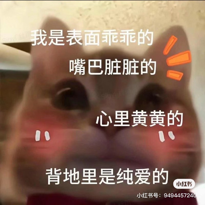 #b站相册动态 5/9