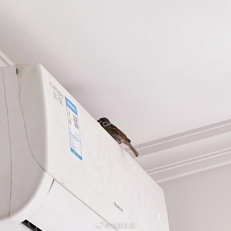 #微博照片 共 9 张