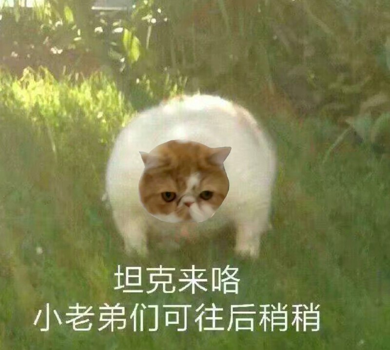 #b站相册动态 3/3