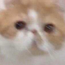 #b站相册动态 3/4