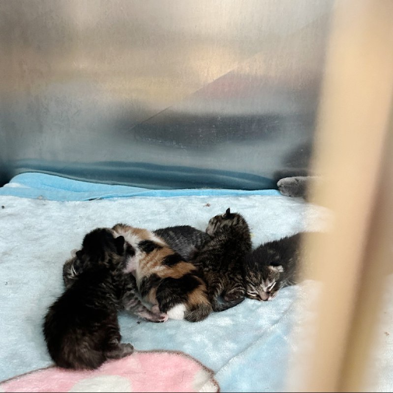 #b站相册动态 2/2