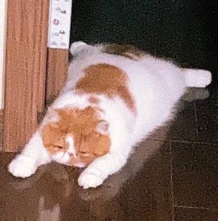 #b站相册动态 7/9