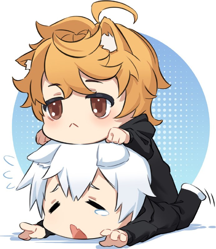 #b站相册动态 2/2