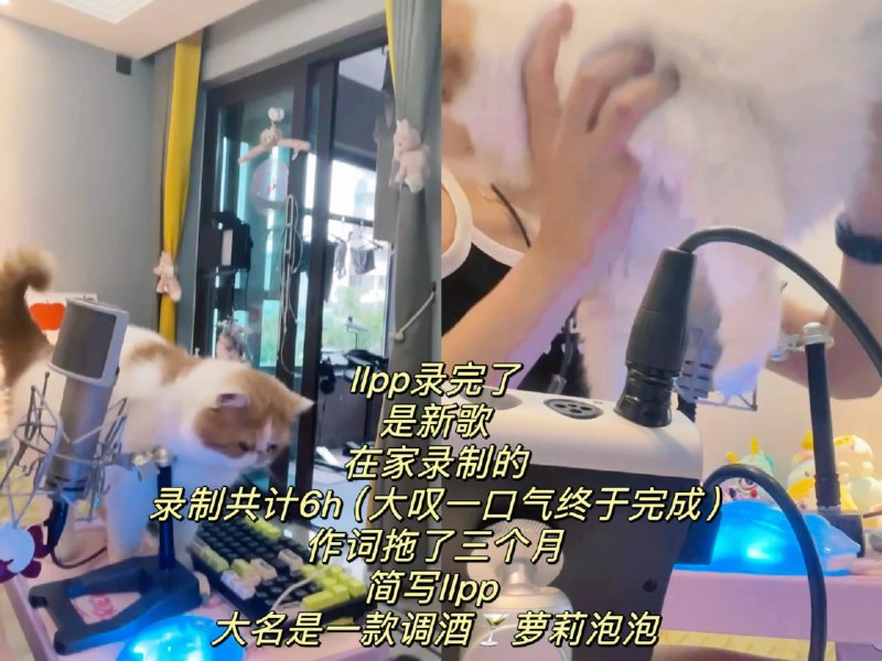 #b站相册动态 5/9