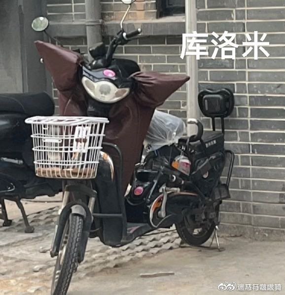 #珈乐魂 #微博评论回复 回复@如何烤出最完美的玉米肠