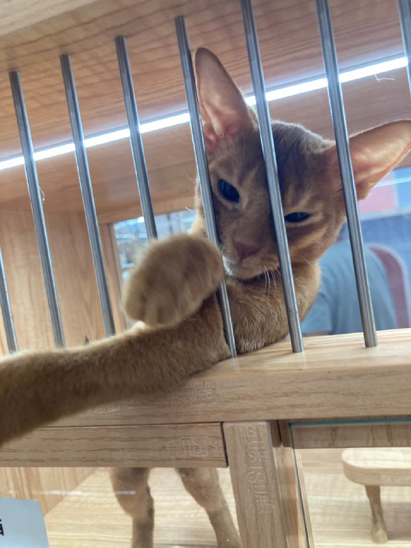 #珈乐魂 #微博照片 4/9