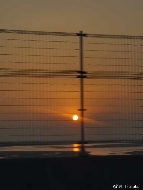 #微博评论回复 好米 到家告诉我哦被回复的评论 6 分钟前 @_Tsuiraku_