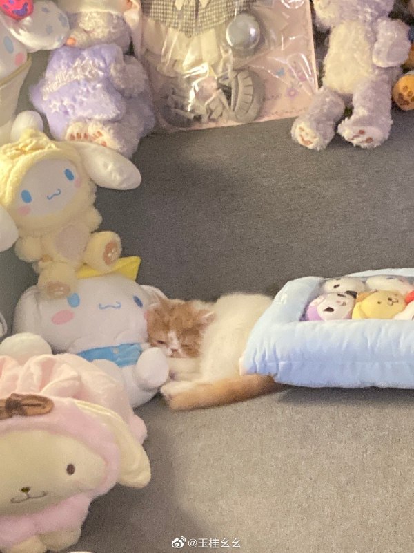 #珈乐魂 #微博评论 他好甜被评论的微博 [兔子]  “是玉桂幺幺同学的专属歌曲” 玉桂幺幺的微博视频30 秒前 属地河南 | 玉桂幺幺