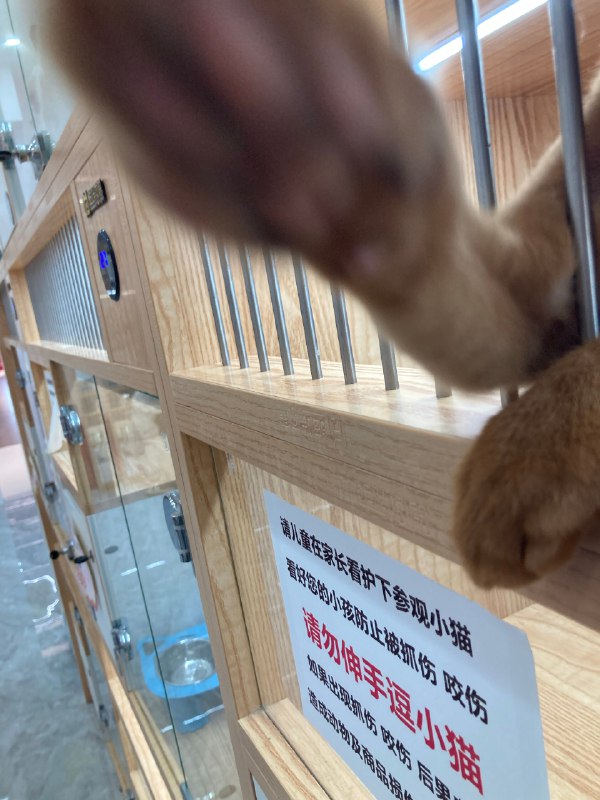 #珈乐魂 #微博照片 共 9 张