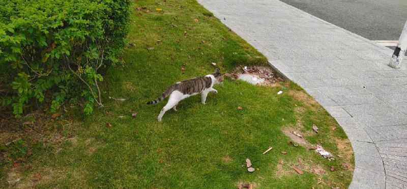 #珈乐魂 #微博评论回复 老婆！被回复的评论 16 分钟前 @几何tre