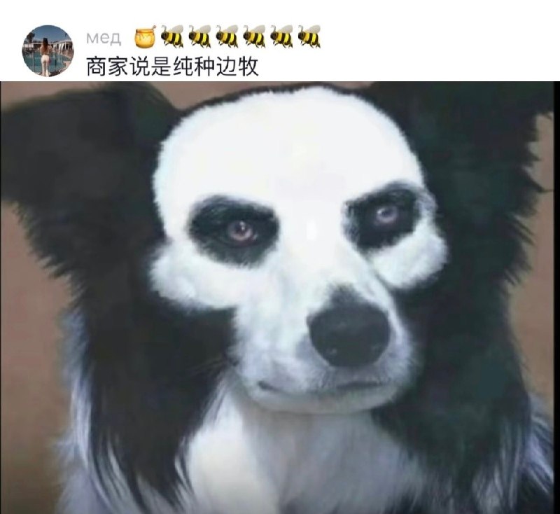 #b站相册动态 刚踏入四月初，就收到很多3u发来的生日祝福，啵子表示非常开心