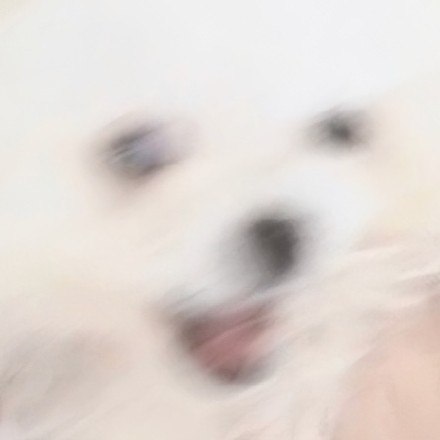 #b站相册动态 4/4