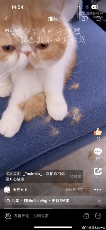 #微博评论回复 “没事 我头发也这样 一掉一大把”被回复的评论 21 分钟前 @啵啵33www